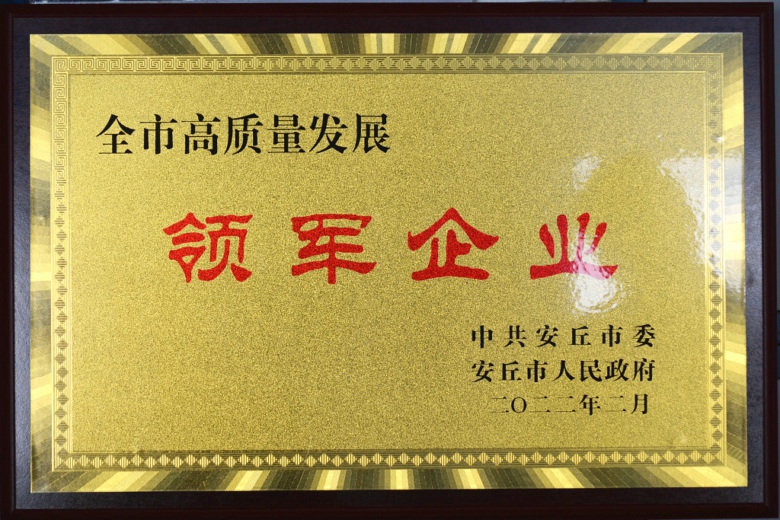Good news: Wenrui Machinery won the honorary title of 'Leading Enterprise' in Anqiu City